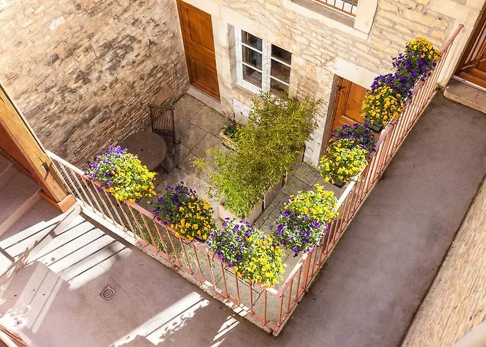 Logis De La Cloche מלון ביון